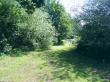 Tadley