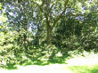 Tadley