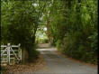 Tadley